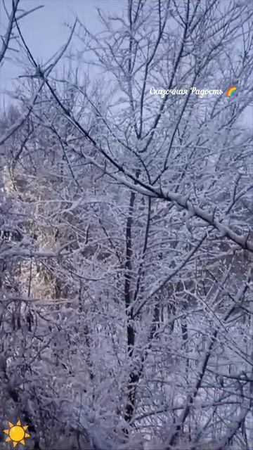 Красивый день!