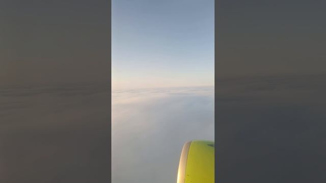 1000069520.mp4