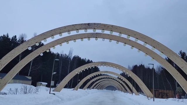 Весенний Сургут, кедровый лог, репортаж 25.03.2023 года