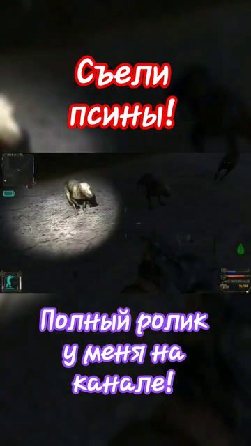 Съели псины. Прохождение легендарной игры S.T.A.L.K.E.R. Тень Чернобыля. Собаки прохода не дают.