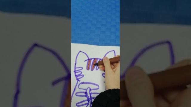 кот