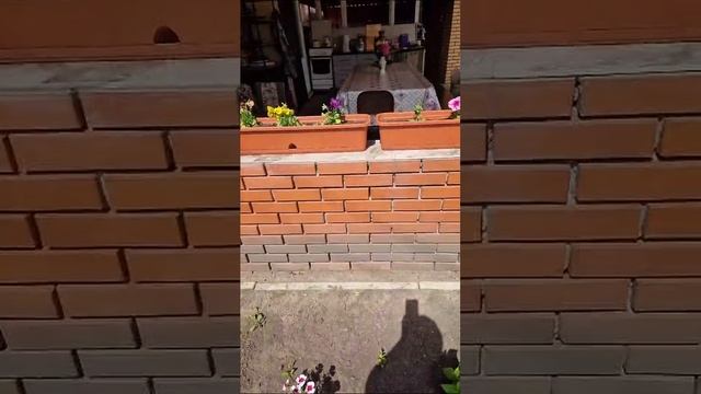 1000062419.mp4