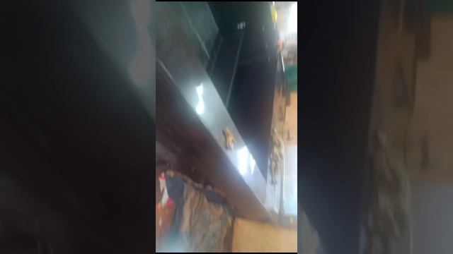 лодка обь большая
