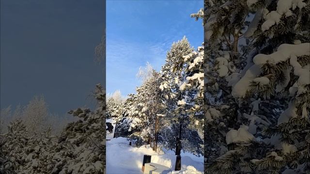 1000104685.mp4
