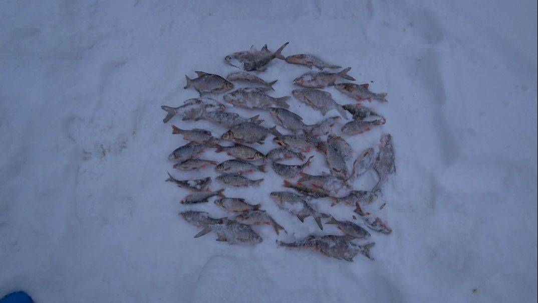 Рефтинское водохранилище 29.01.2025 г.Ловля чебака