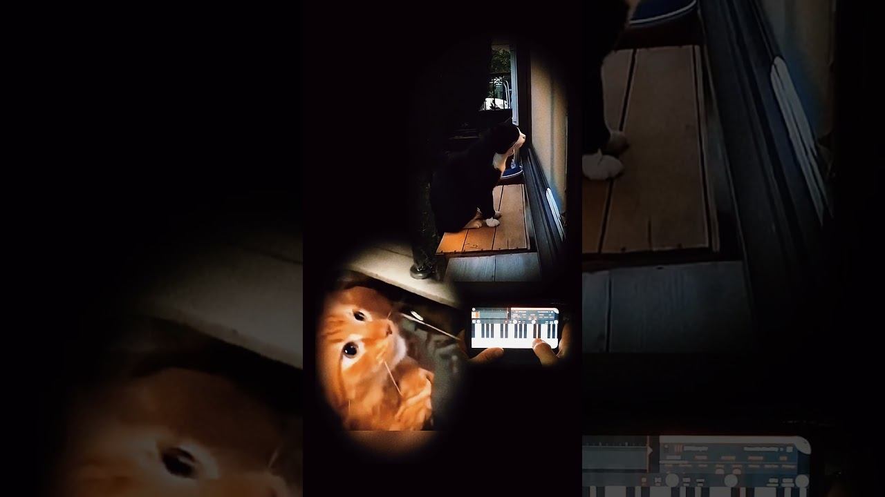 Котэ #piano #music #pianotutorial #beats #instrumental #cats