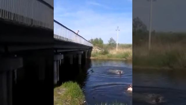 прыгуны