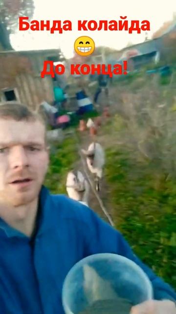 СМЕШНЫЕ ЖИВОТНЫЕ.ПЕТУХ ПУЛЯ,ЛЕТИТ КАК НЕ В СЕБЯ🤣🤣🤪