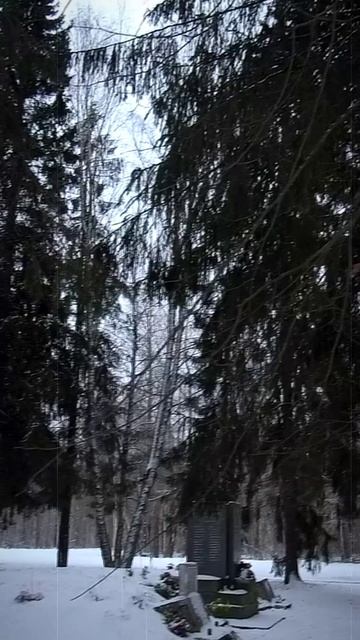 НЕВСКИЙ ПЯТАЧОК!!!