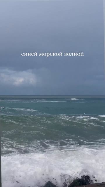 Настроение моего блога: романтика Сочи и Агутин🤍