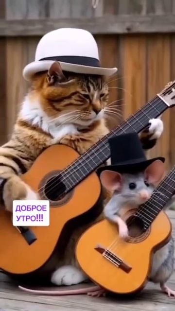 Доброе утро!