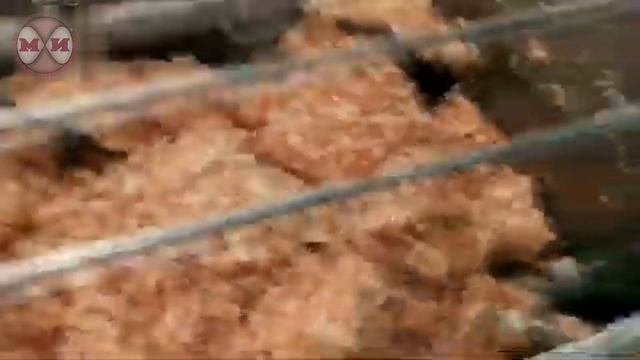Перемешивание мясного фарша в фаршемешалке ДВАК М 335