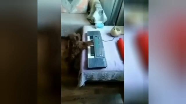 Всем соседям на зло 😂
