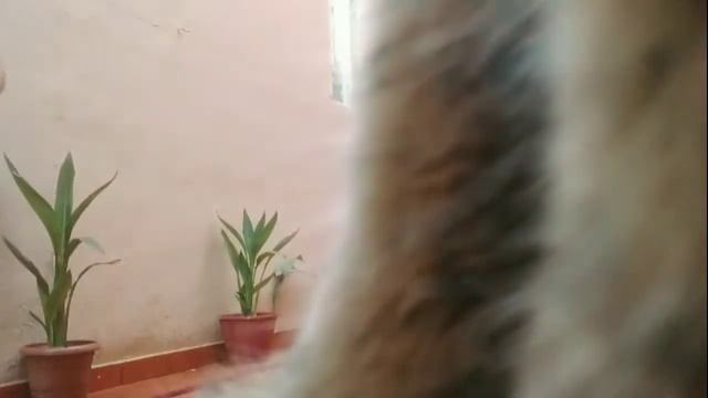 Mingming akyat,mabasa ka at umakyat nga siya sa may camera