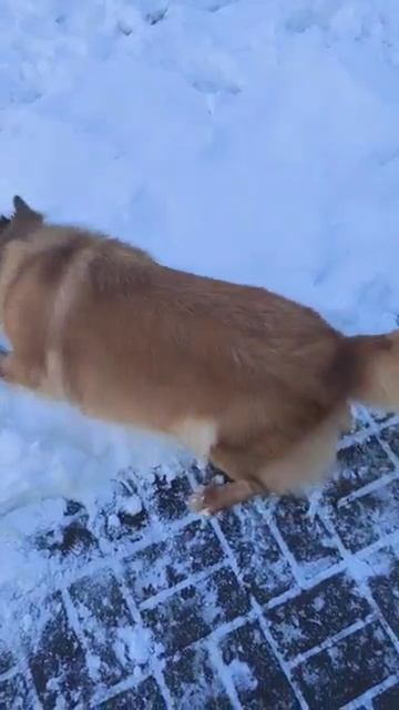 хитропопая Рита после салона красоты