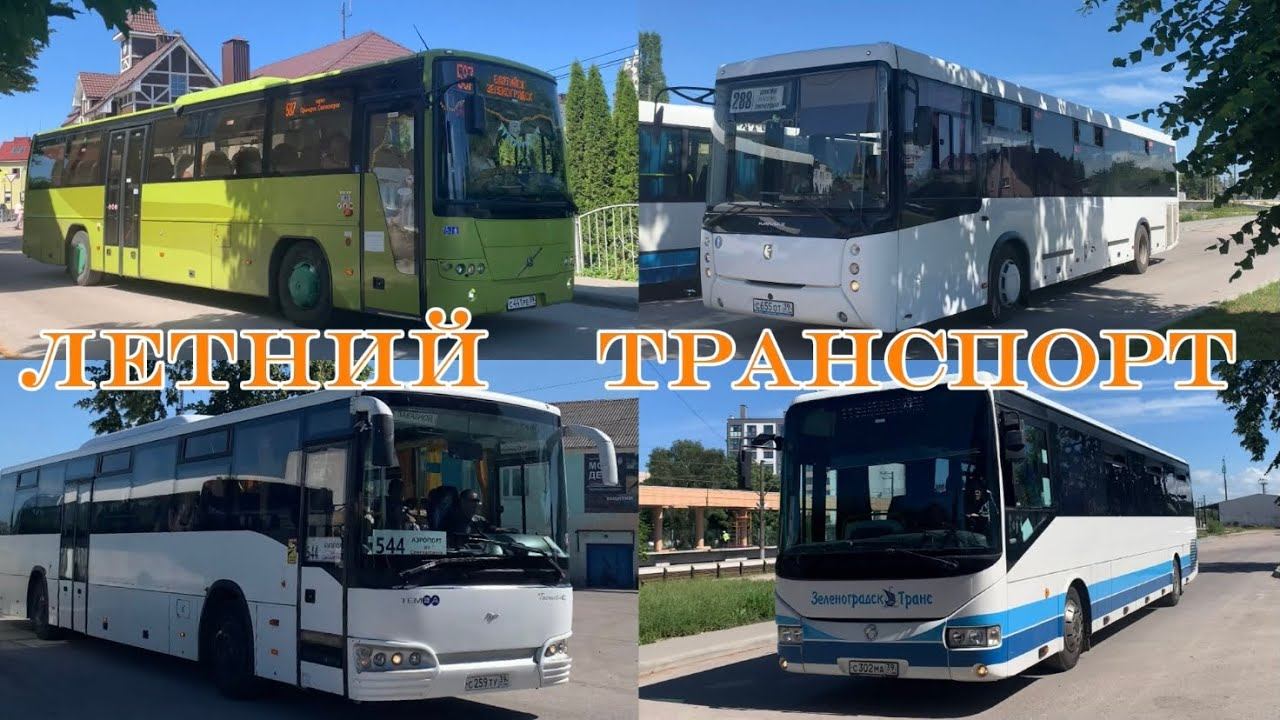 Летний транспорт города Пионерский. Жизнь остановочного пункта и города. Июнь 2024