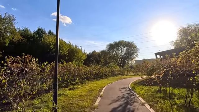 Вбежав в автобус, малышка попросила уборщицу притвориться мамой… А утром под окнами офиса был кортеж