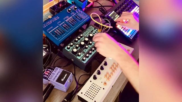 Dark ambient house w/ Polyend Play+, Critter Guitari Organelle, and Dreadbox Erebus & Nymphes
