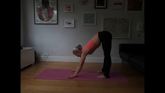Tutorial 8: Balancing a freestanding handstand