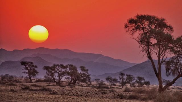 Journey through Miocene Africa | Dusk in the ancient plains | Ambience, Soundscape