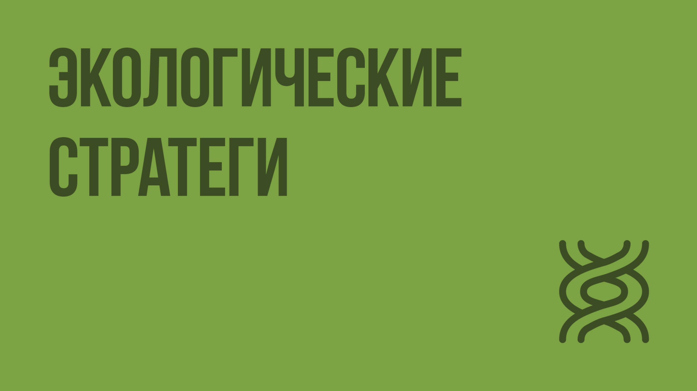 Экологические стратегии. Видеоурок по биологии 11 класс