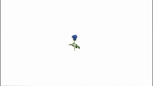 Erix - Θέματα
