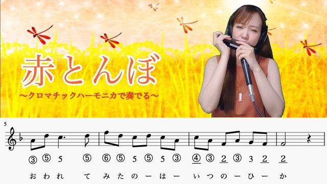〜クロマチックハーモニカで奏でよう〜「赤とんぼ」南里沙 #shorts