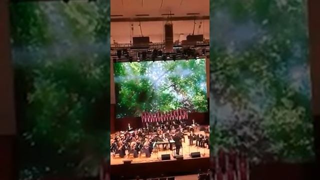 Хор МАОУ ВНГ. Летите, голуби!