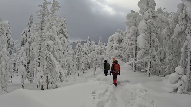 САМАЯ КРАСИВАЯ ЗИМНЯЯ ВЕРШИНА В ПРИМОРСКОИ КРАЕ.