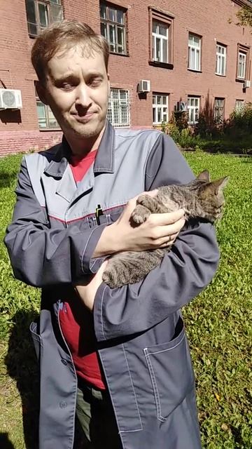 Котёнок Кузя наконец-то нашёл своего Двуногого. Радости нет предела. Удачи тебе, домовенок Кузя#3
