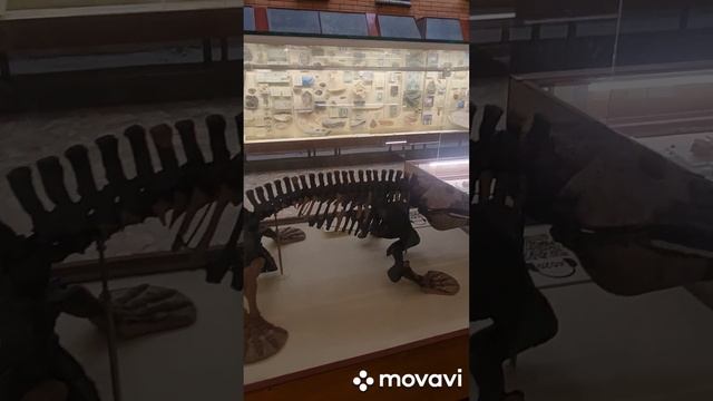 Выходные с ребенком. Палеонтологический музей.