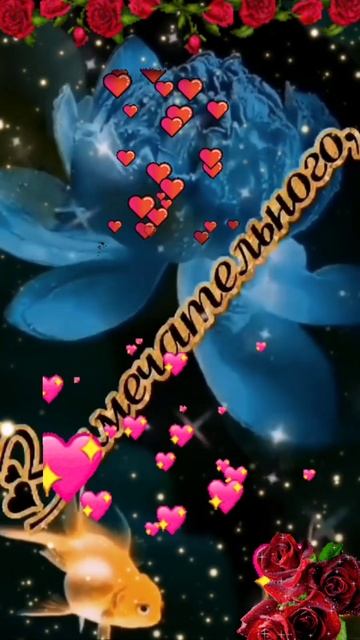 Video.Guru_20250208_160701180.mp4
