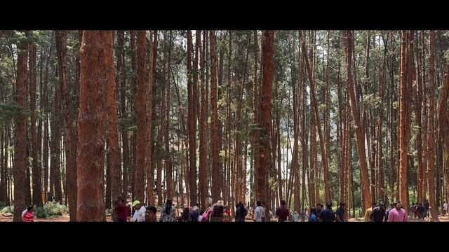 Vlog: Ooty - Gudalur - Mysuru (March 2024)