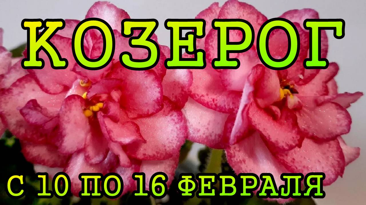 КОЗЕРОГ таро прогноз на неделю с 10 по 16 ФЕВРАЛЯ 2025 года.