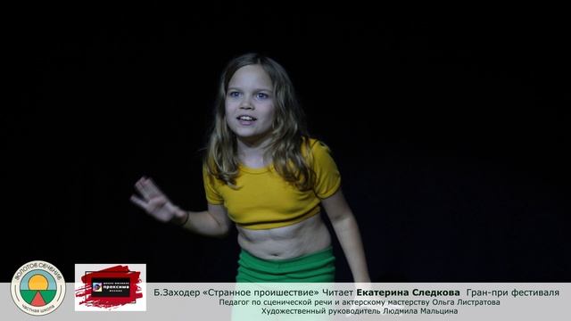 "Странное происшествие" Борис Заходер Читает Екатерина Следкова