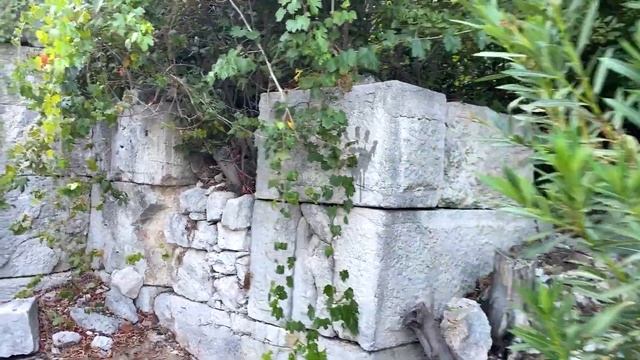 Сиреноголовый в реальной жизни. Первая встреча