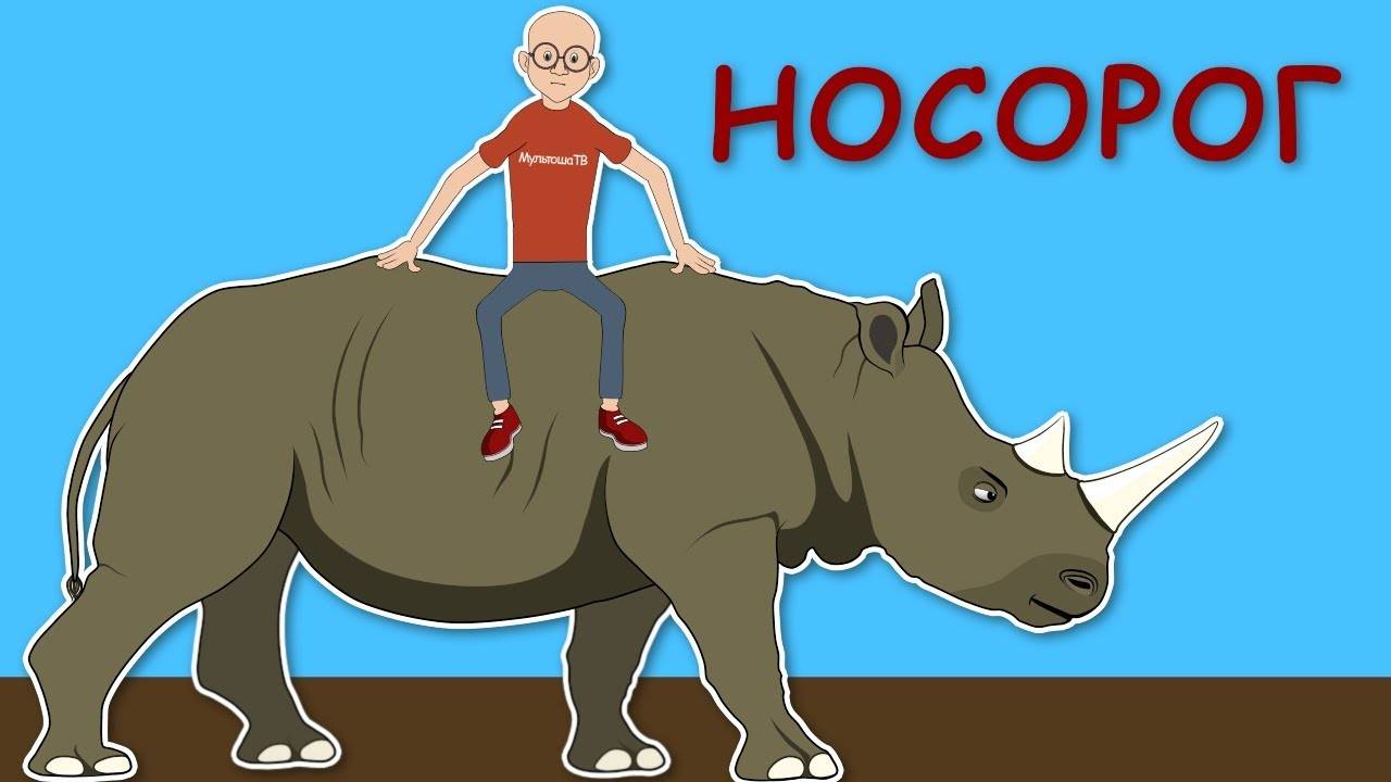 Познавательный мультфильм о носороге