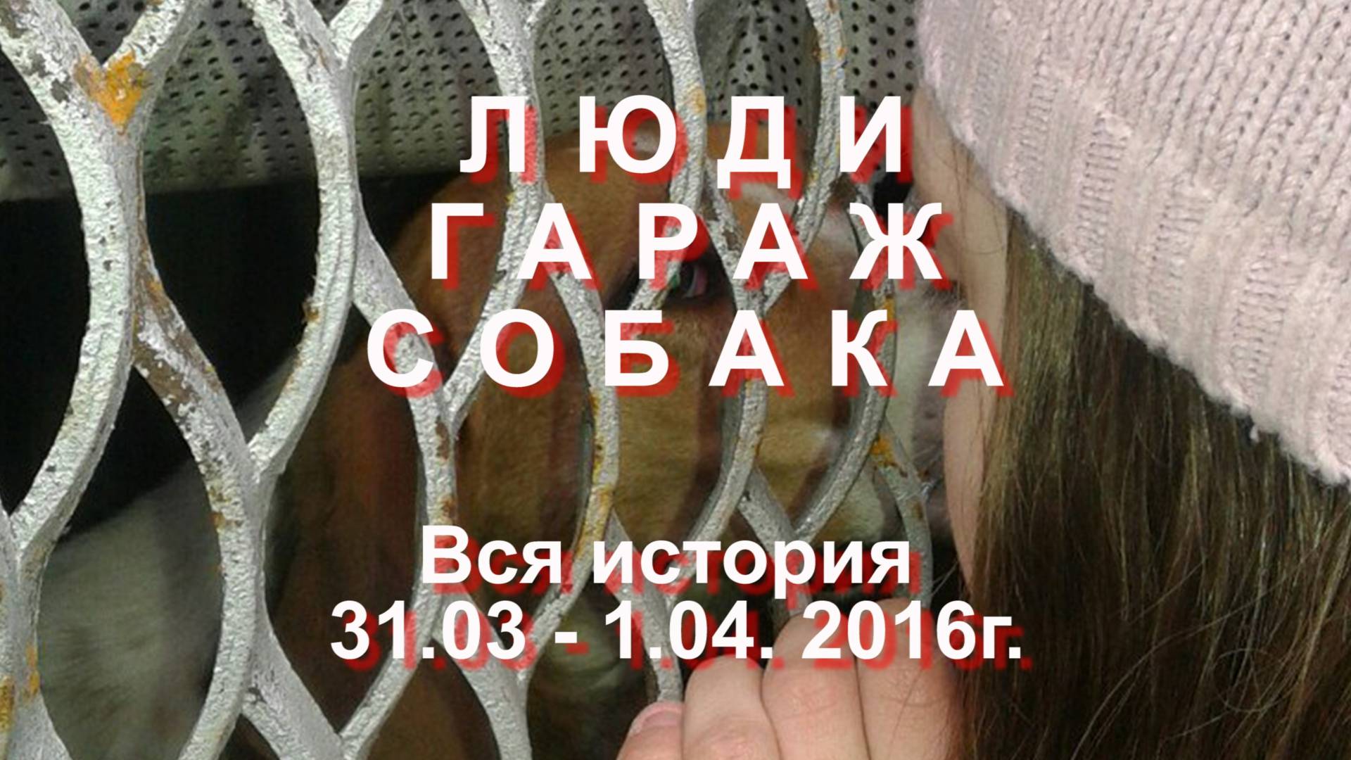 Люди Гараж Собака