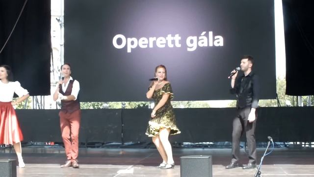 Operett Gála-7 #upskirt#оперетта#шоу#танец