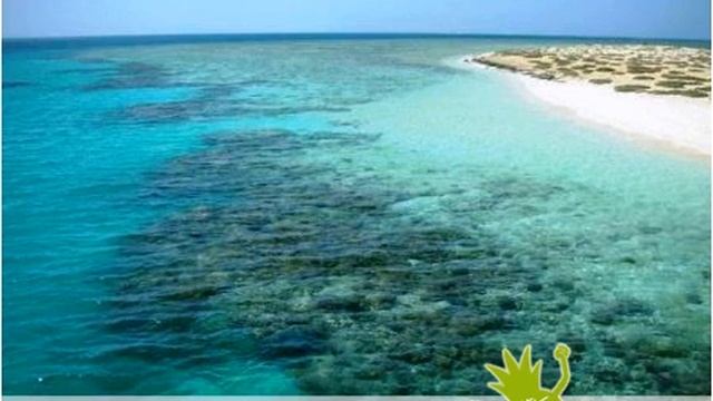 Offerte ROULETTE MAR ROSSO  E LODE   Sharm Hurghada Marsa Alam El Quseir Berenice   Mar Rosso    by