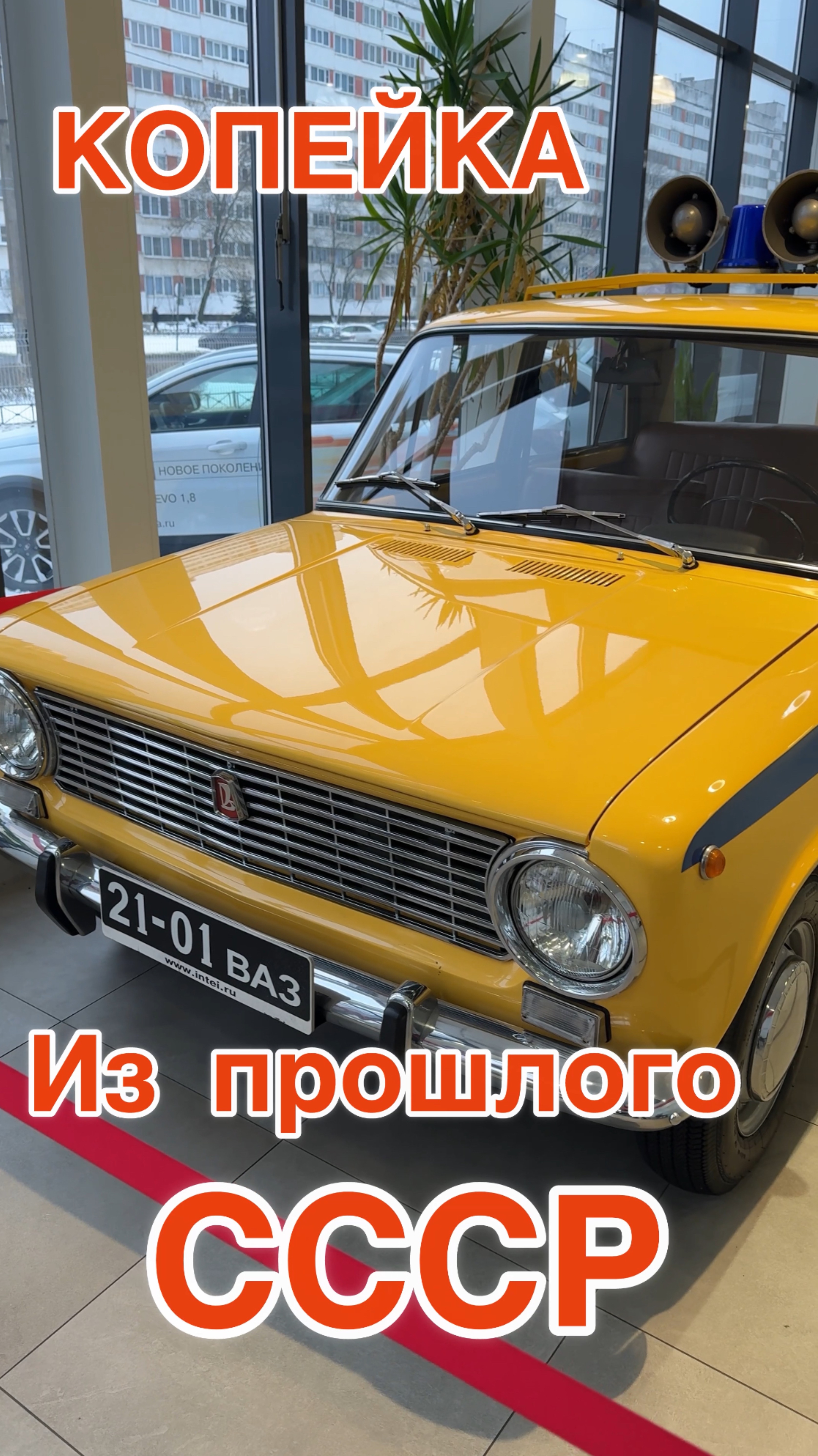 Вот такое чудо увидели в автосалоне.