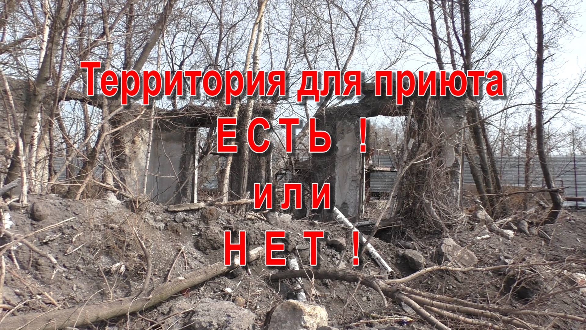 Территория для приюта-2016гд