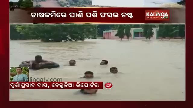 MLA Rajendra Kumar Sahoo Visits Flood Affected Areas In Begunia, Reviews Situation || KalingaTV