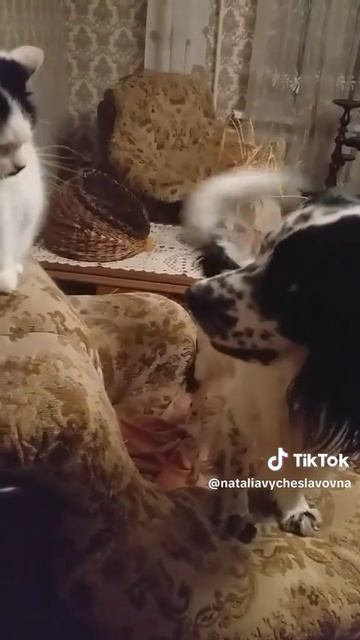 Притворялась...)))