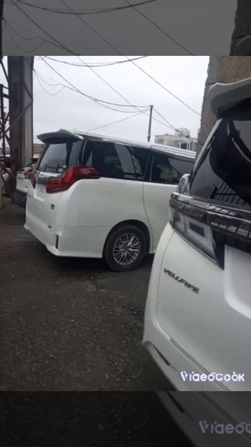 зелёнка манит.хочу туда еще