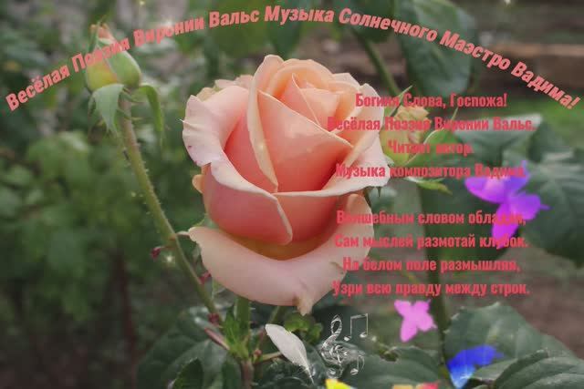 Богиня Слова, Госпожа! Весёлая Поэзия Виронии Вальс и Музыка Солнечного Маэстро Вадима!