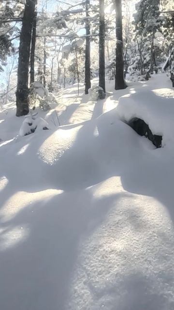 Бегу через зимнюю сказку ! Высота 1050м