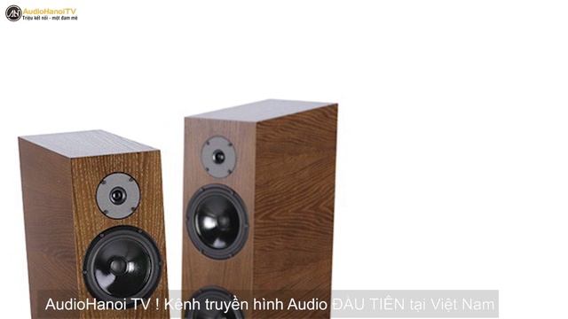 Điều gì giúp loa Pylon Audio Diamond 28 được lòng các audiophile? | AudioHanoiTV 222