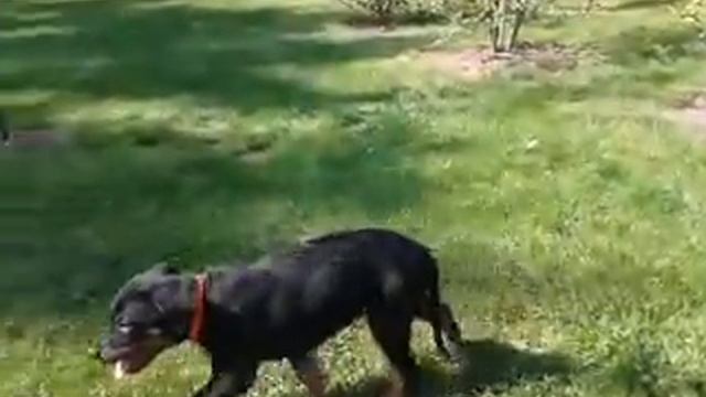 video 2015 09 18 12 10 33