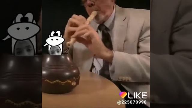 Я змея белая змея